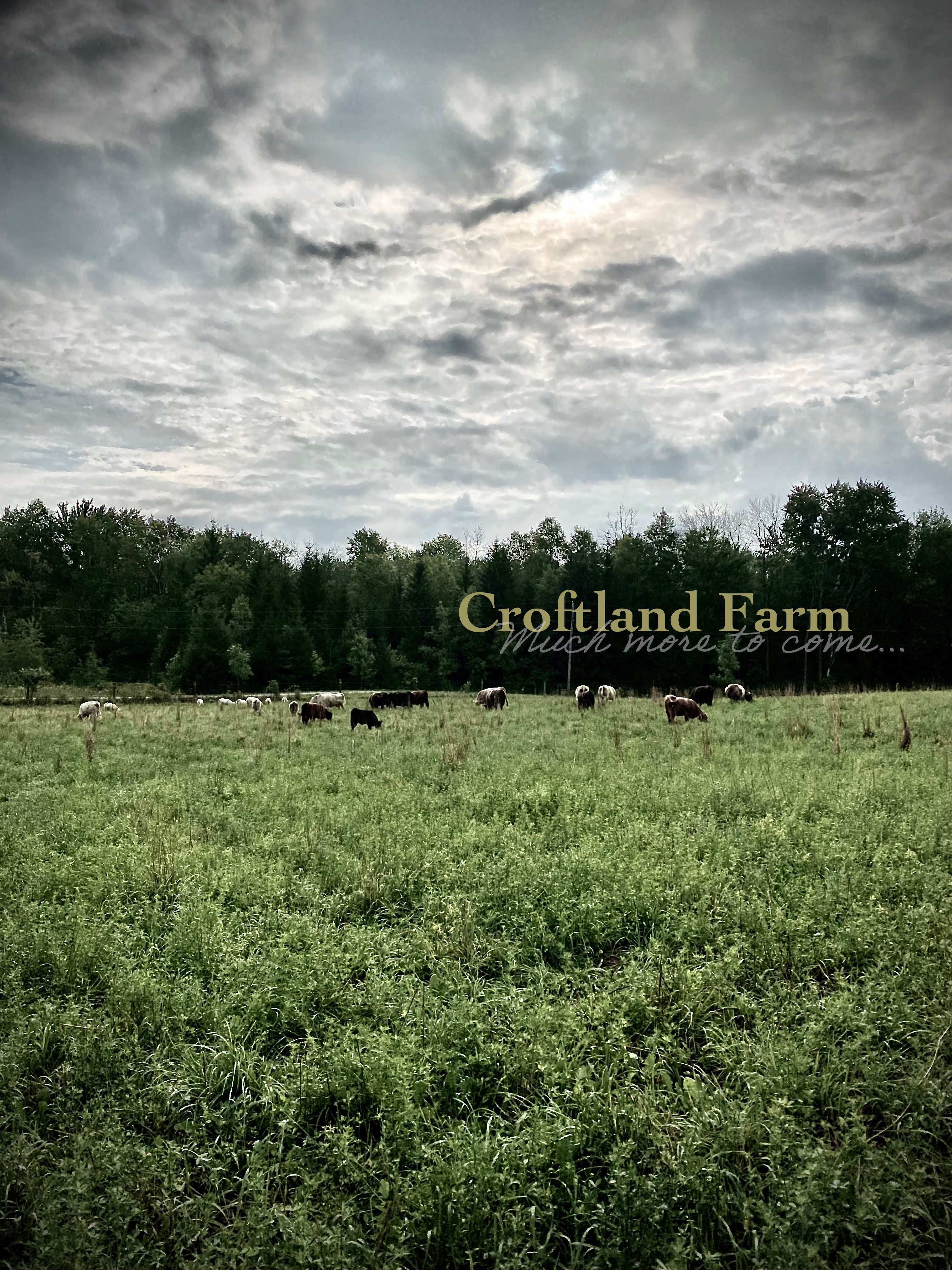 croftland-farm